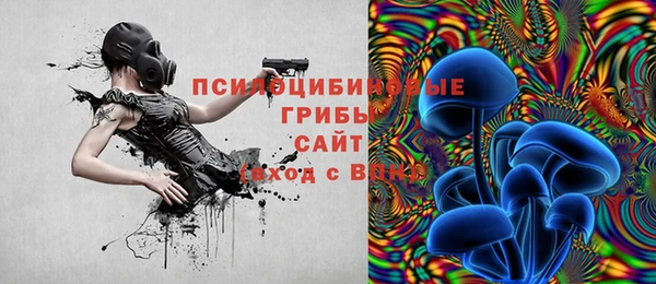 соль ск Алексеевка